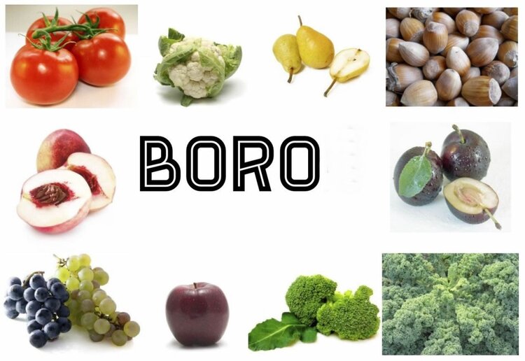 beneficios do boro beneficios do boro