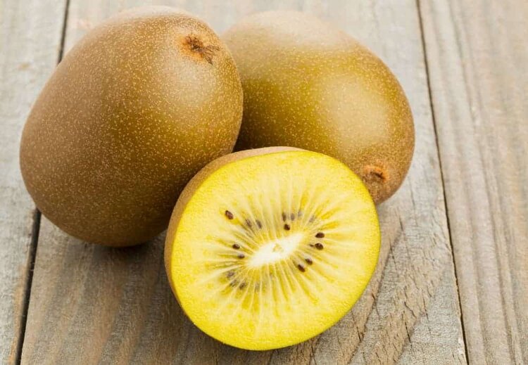 kiwi dourado kiwi dourado