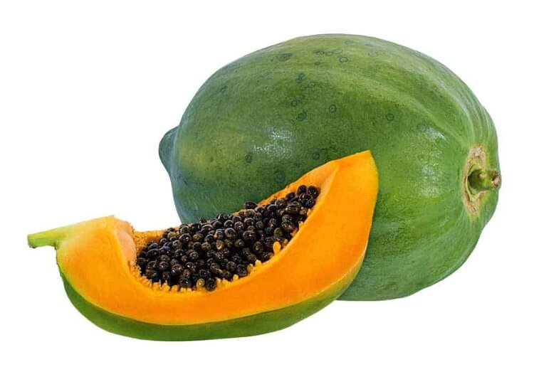 valor nutricional do mamao valor nutricional do mamao