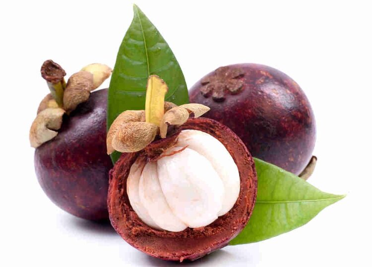 Benefícios do Mangostão Benefícios do Mangostão