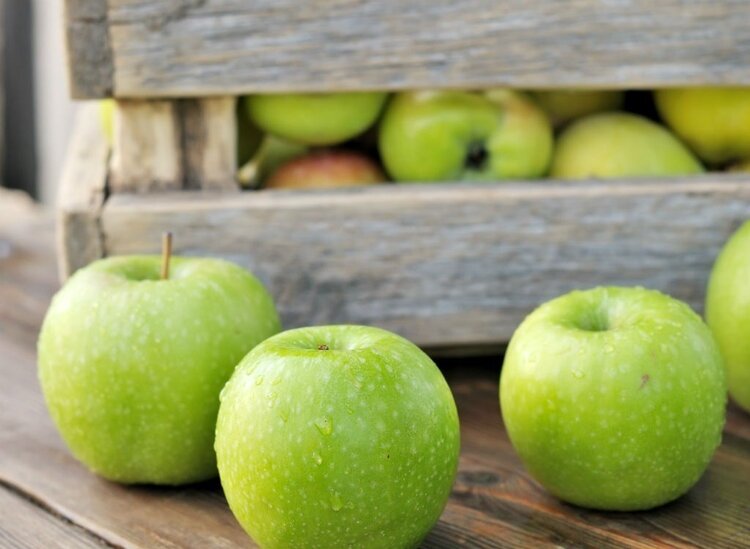 frutas para perder peso em casa frutas para perder peso em casa