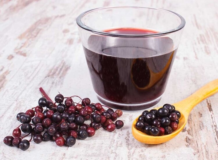 suco de sabugueiro aumenta imunidade suco de sabugueiro aumenta imunidade