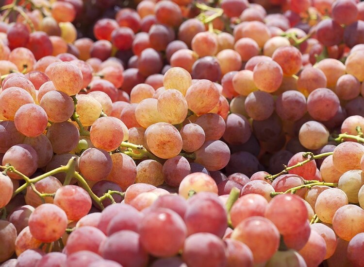uvas e um dos alimentos que podem manchar os dentes uvas e um dos alimentos que podem manchar os dentes