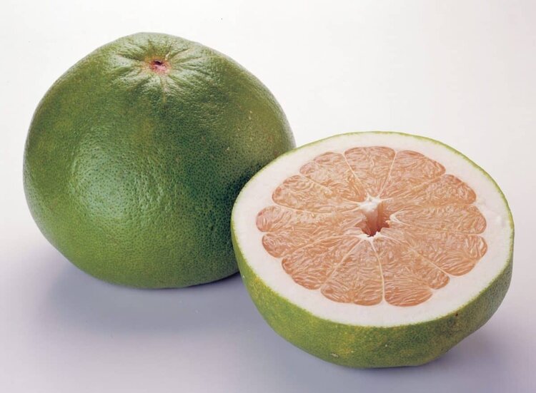 o que e pomelo o que e pomelo