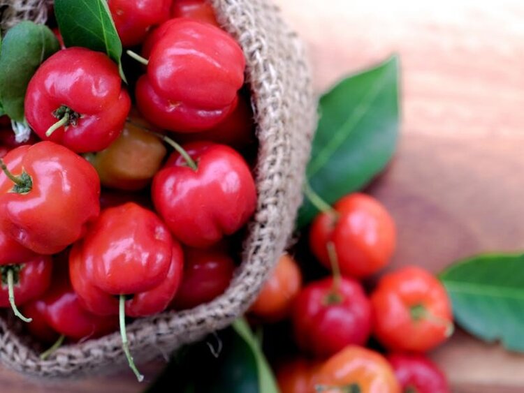 acerola fruta acerola fruta