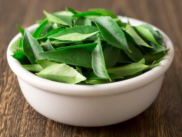 Folhas de Neem Folhas de Neem