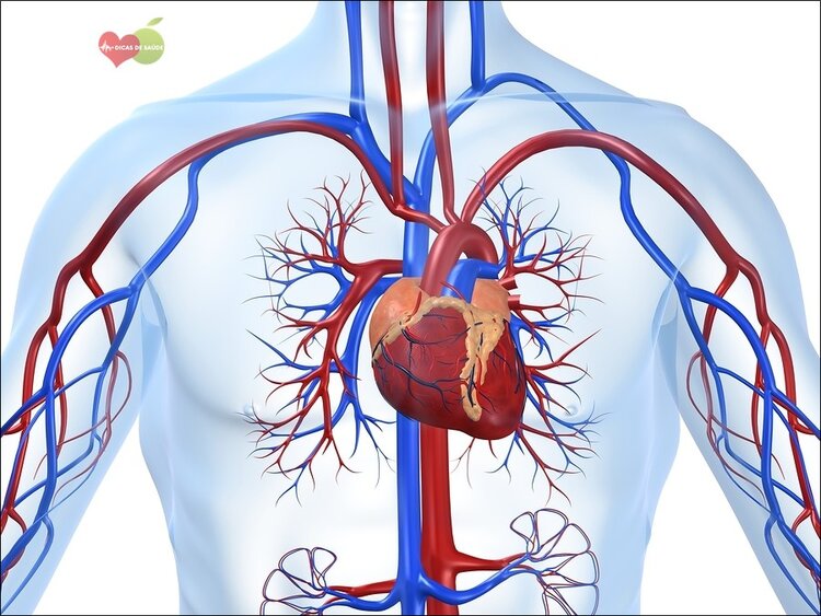 Miocardiopatia Dilatada Miocardiopatia Dilatada