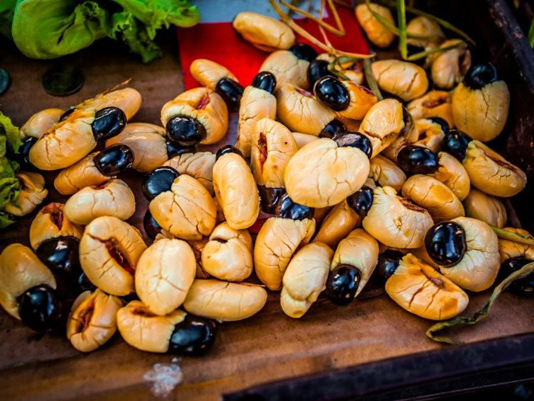 ackee é uma fruta estranha fruta ackee é uma fruta estranha