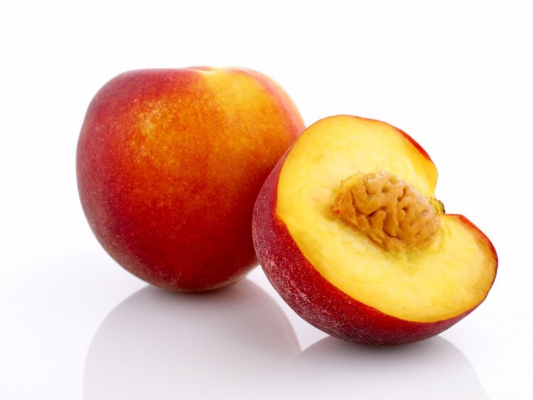 nectarina armada nectarina armada