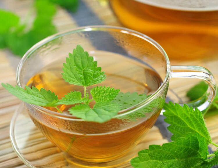 Chá Detox de Erva Cidreira Chá de erva cidreira para combater mal-estar: como fazer, receitas e dicas
