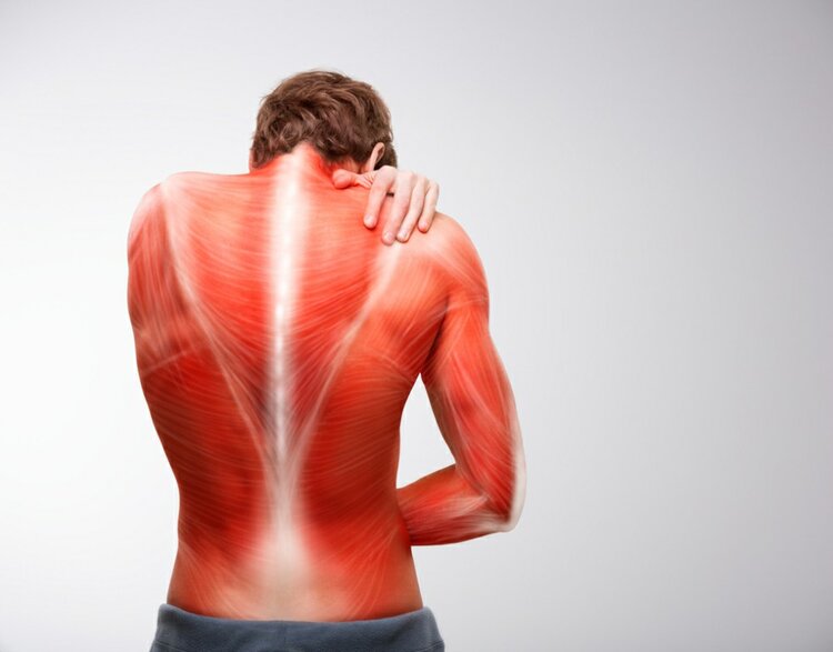 relaxante muscular relaxante muscular