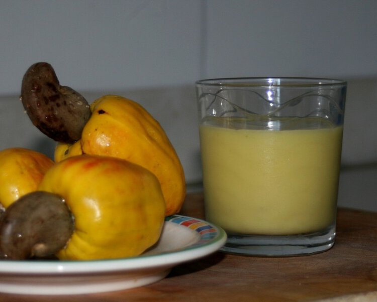 benefícios do suco de caju Suco de Caju para que serve? é bom para diarreia, gastrite e emagrecer