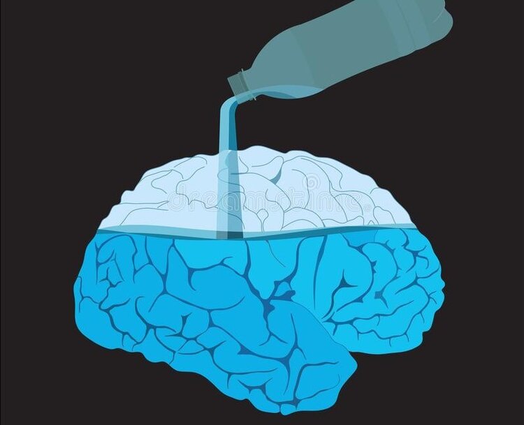 se manter hidratado ajuda na funcao cerebral se manter hidratado ajuda na funcao cerebral