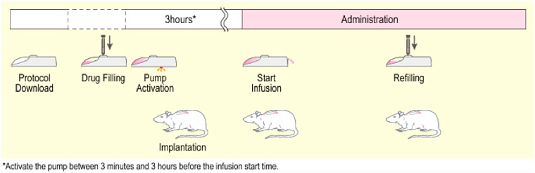 Mouse Infusion