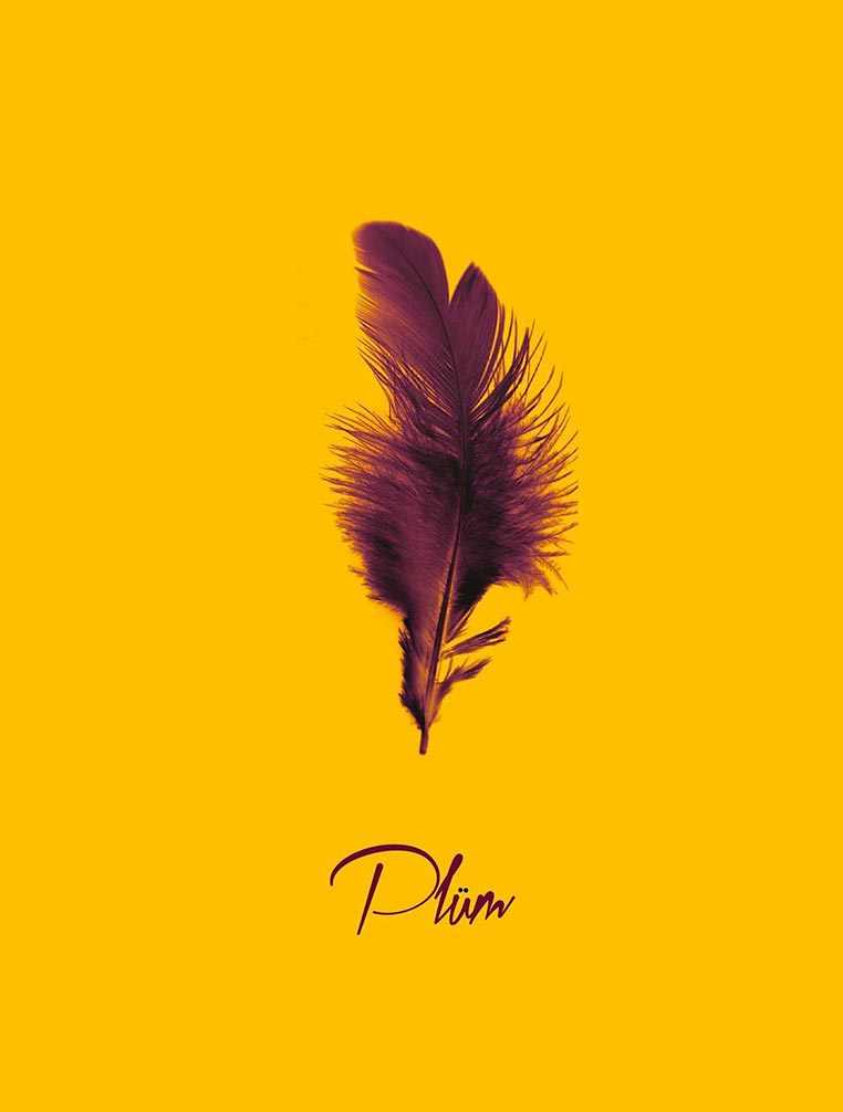 #Interview Rodmusic x PLÜM