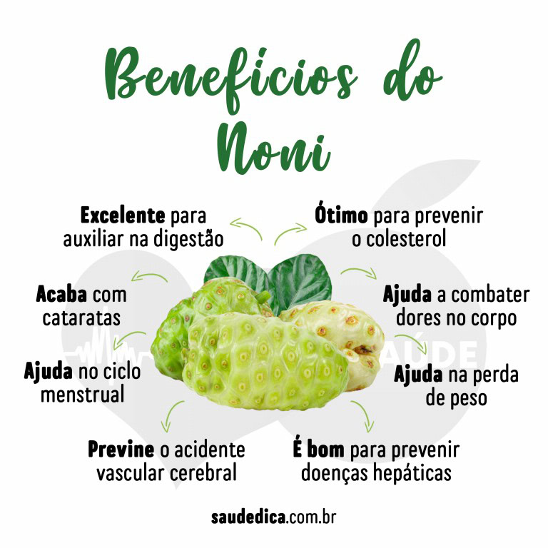 Noni Para que serve, como usar, valor nutricional, benefícios