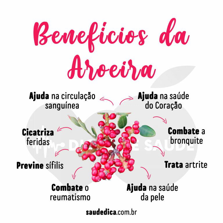 Chá de aroeira: O que é, para que serve, como fazer, benefícios ...