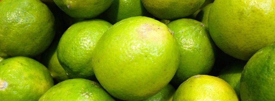 cellulite remedes efficaces astuces