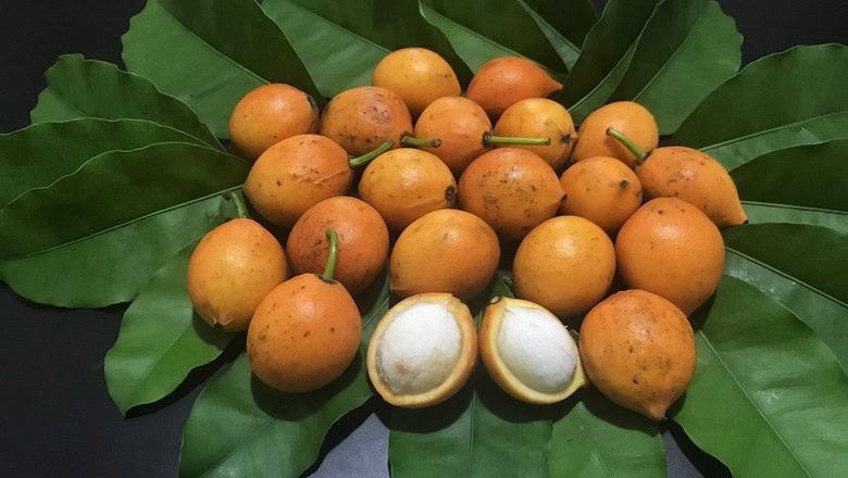 fruta bacupari fruta bacupari