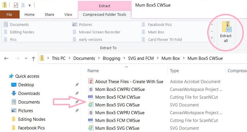 Mom and Mum gift box files on a PC ready to be unzipped using the Extract All tool