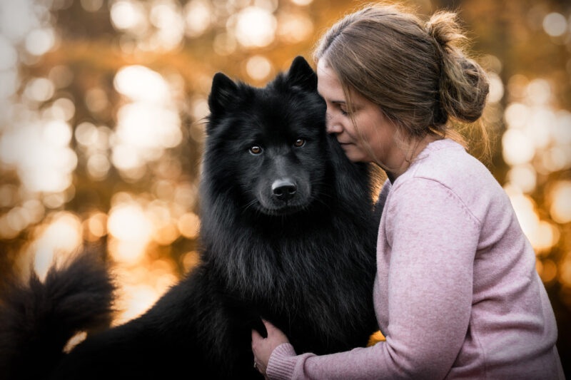 Hundefotoshooting Hund und Mensch Fotografie Schweiz Bern Basel Luzern