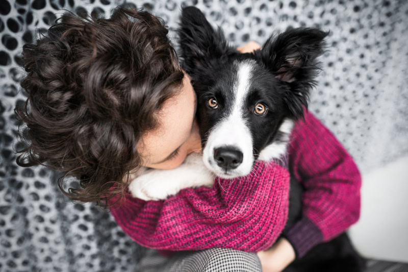Hund und Mensch Fotografie in der Schweiz