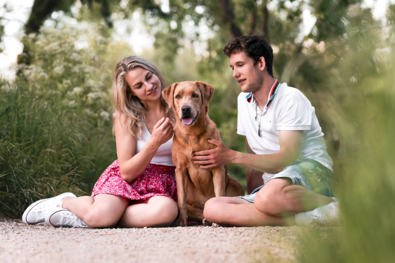 Hund-und Menschfotografie Schweiz brauner Labrador Hundefotoshooting