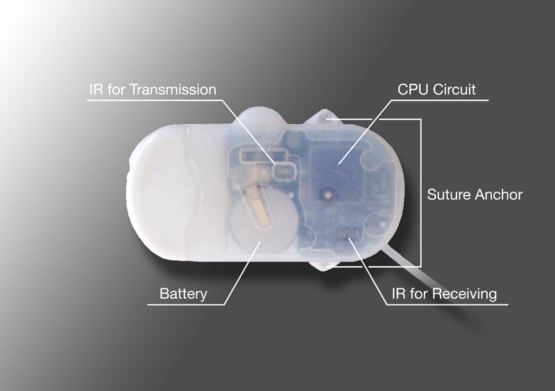 iPrecio Pump Back Caption