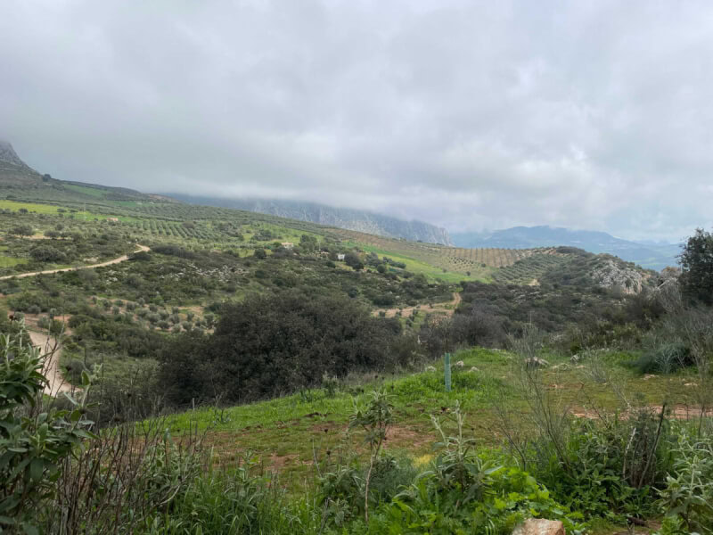 Grüne Landschaft mit bewölktem Himmel