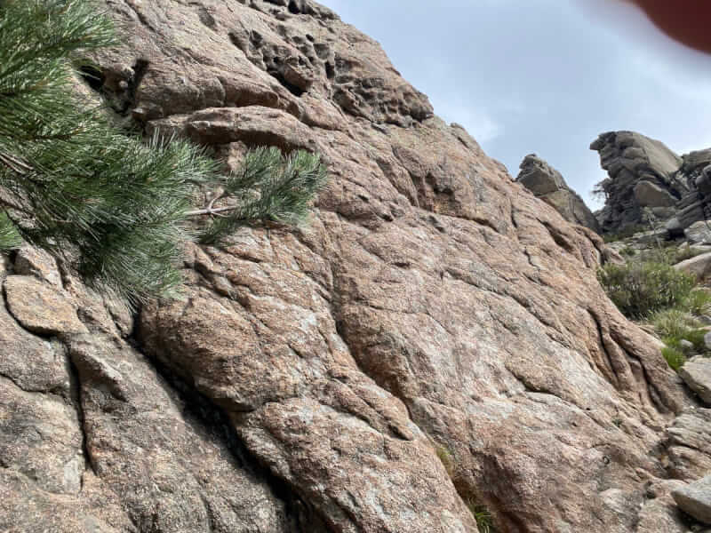 Große Felsen mit grünen Pflanzen