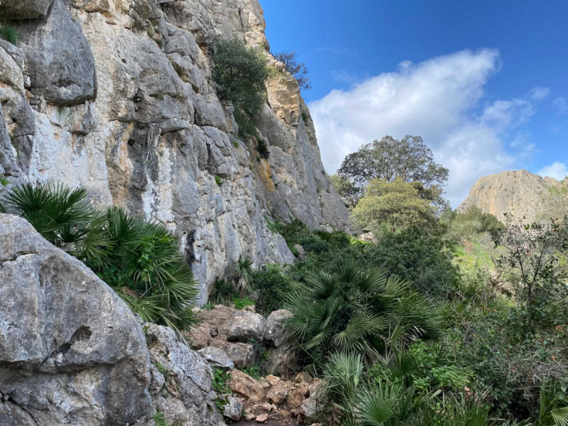 Felsen mit üppiger Vegetation