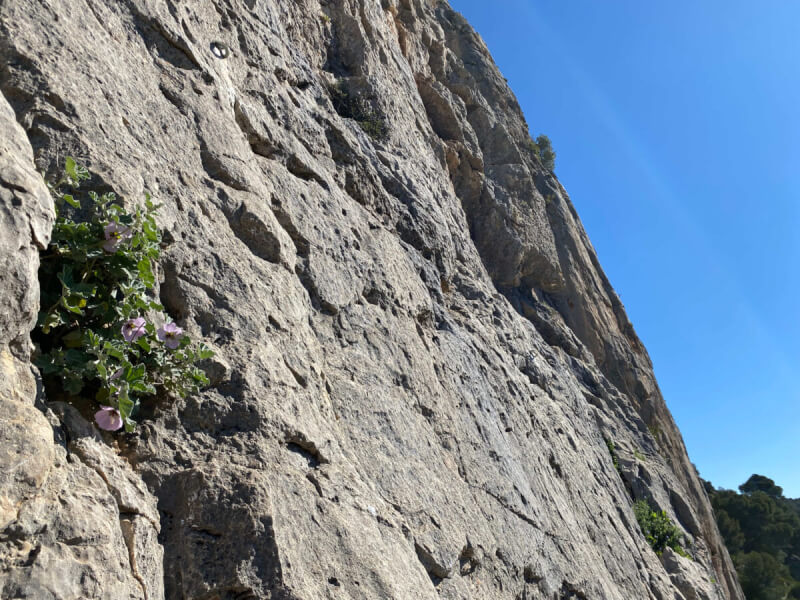 Klettern in El Chorro