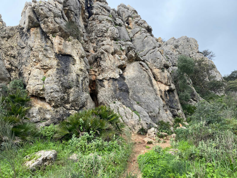 Felsen mit grüner Vegetation und Pfad
