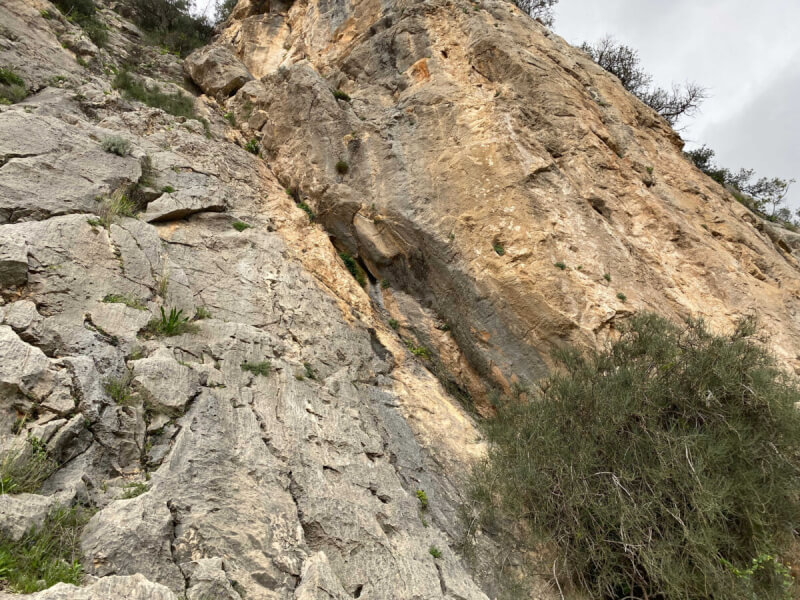 Felswand mit Vegetation und Struktur