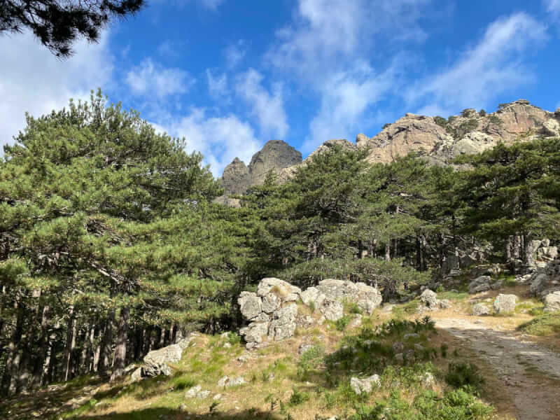 Klettern im Bavella Massiv