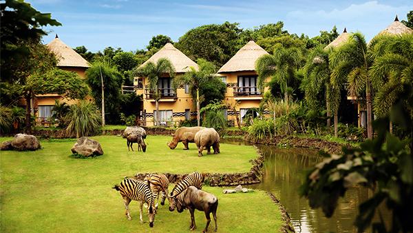 pengalaman-menginap-unik-di-mara-river-safari-lodge