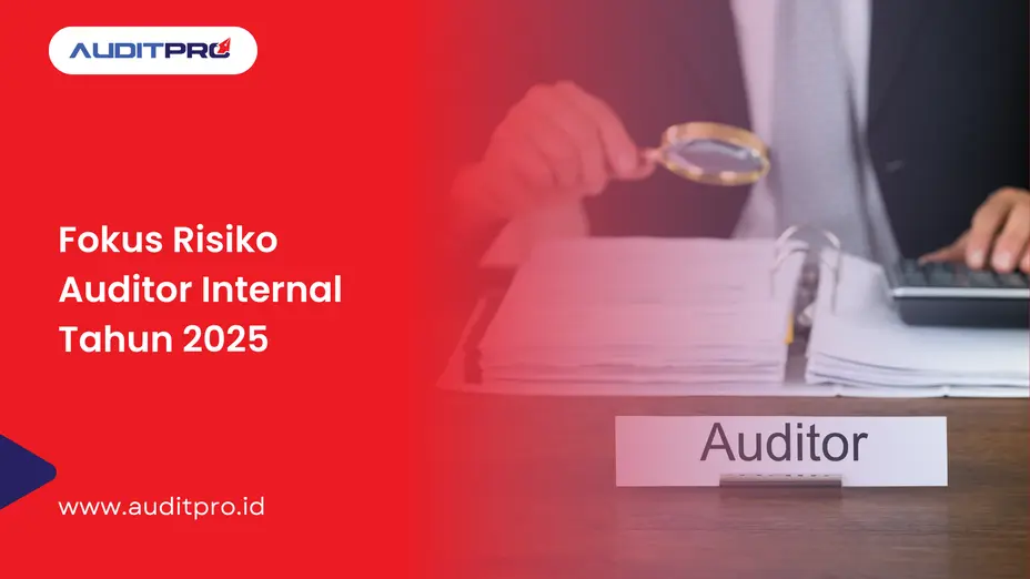 auditor internal