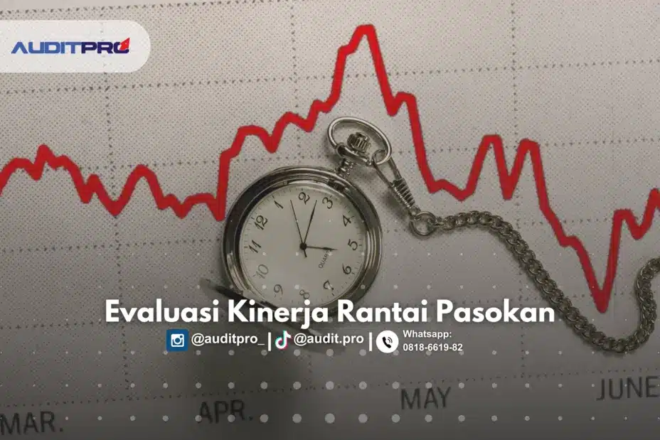 audit kinerja