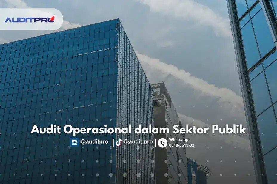 audit operasional