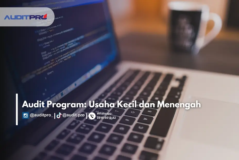 audit program