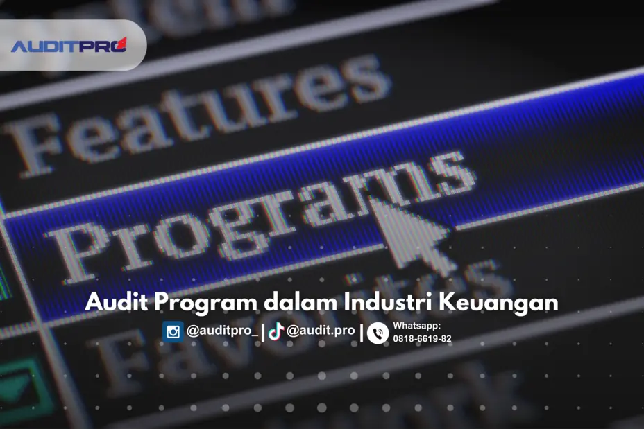 audit program