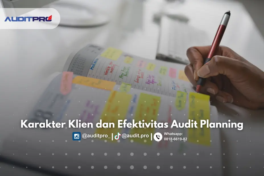 Audit planning
