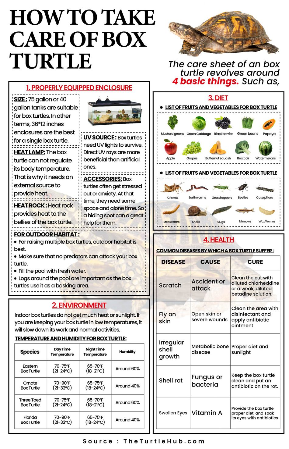 Box Turtle Care infograph