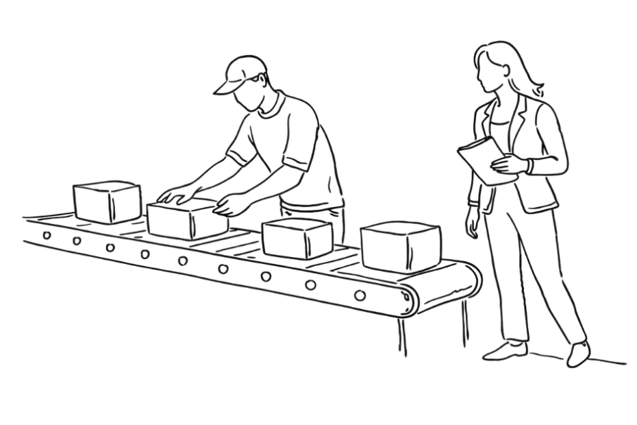 Begeleiden en ontwikkelen