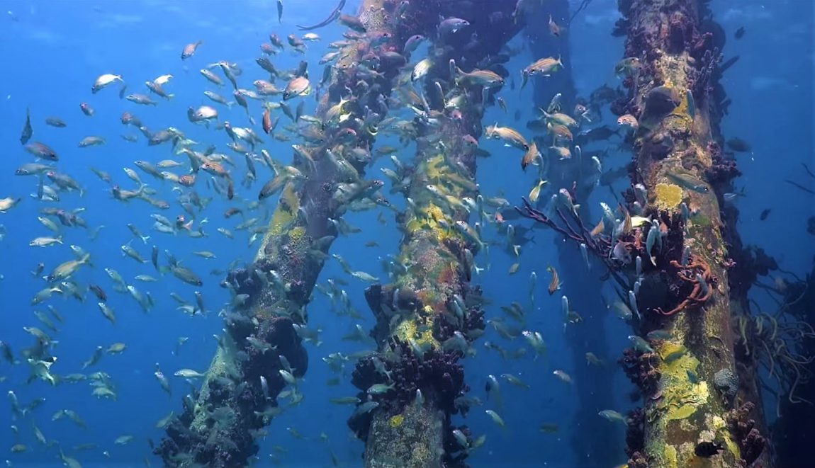 Salt pier - Bonaire, Dutch Antillen