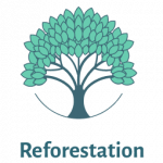 Reforestation