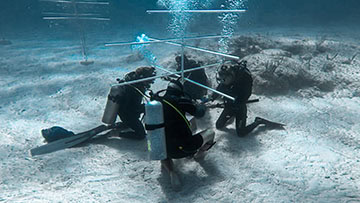 Divers attaching coral to a coral tree as part of coral husbandry