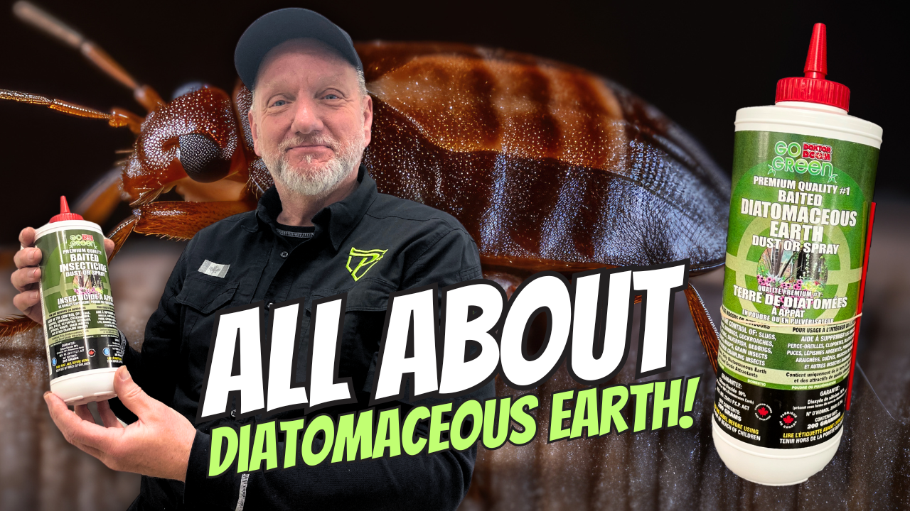 Natural Pest Control: Diatomaceous Earth. Learn about DE