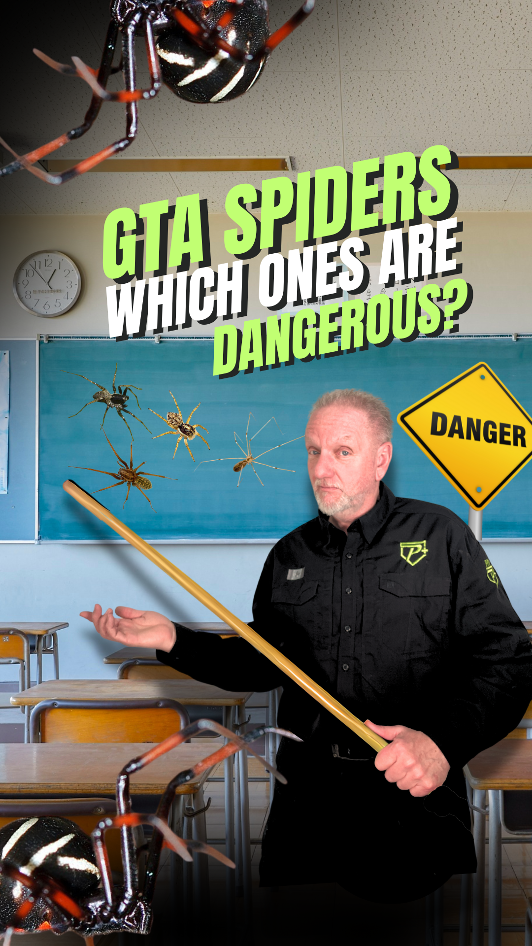 Why do people fear spiders?