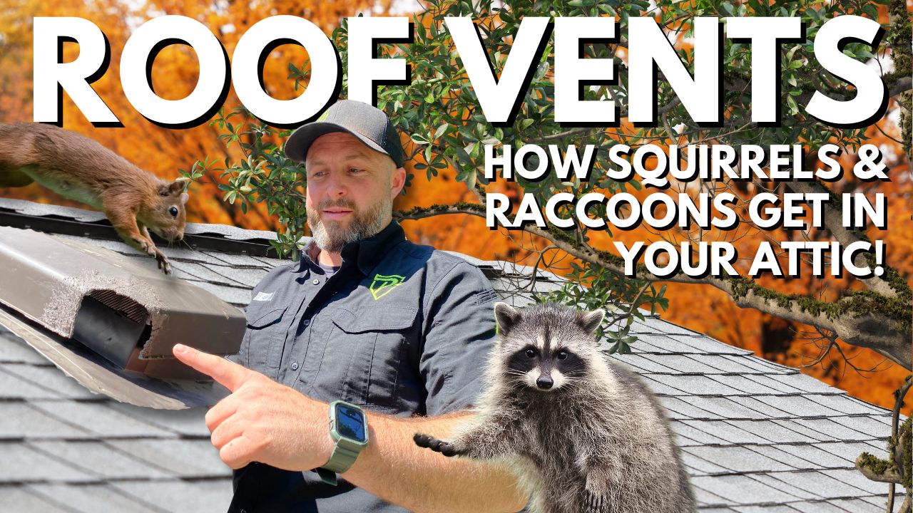 Raccoons and squirrels damage roof vents to enter attics. See how to stop them.